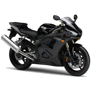 600<BR>(2004-->2005)