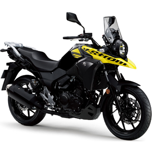 250<BR>(2007-->2019)