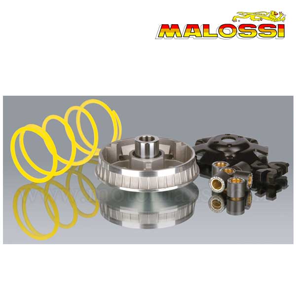 Variador Malossi Multivar