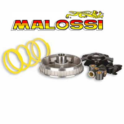 Variador Malossi Multivar