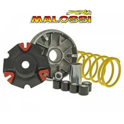 Variador Malossi Multivar
