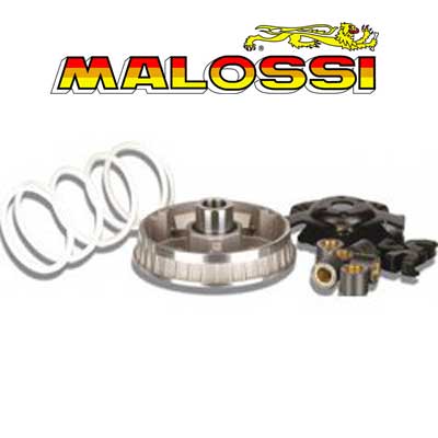 Variador Malossi Multivar