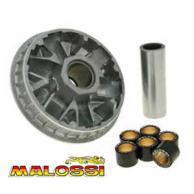 Variador Malossi Multivar Forza 250 (08-10)
