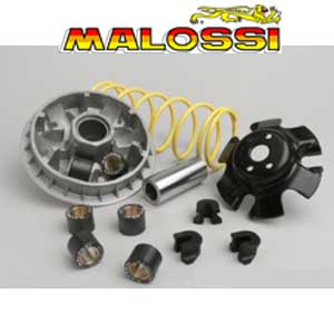 Variador Malossi Multivar