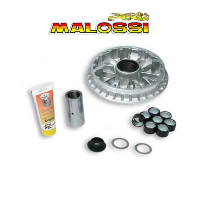 Variador Malossi Multivar