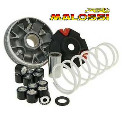 Variador Malossi Multivar