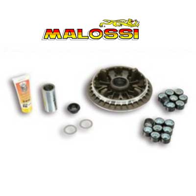 Variador Malossi Multivar