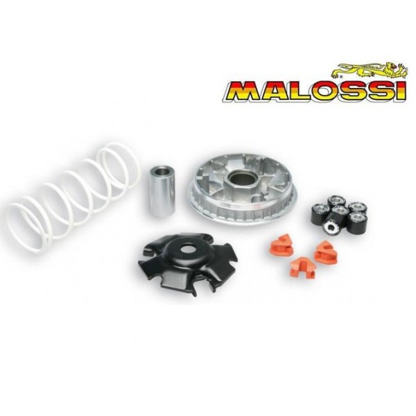 Variador Malossi Multivar