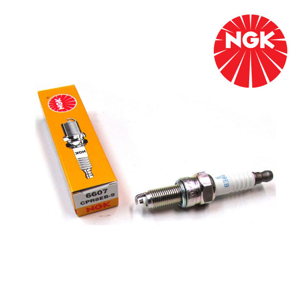 Bujia NGK CPR8EB-9