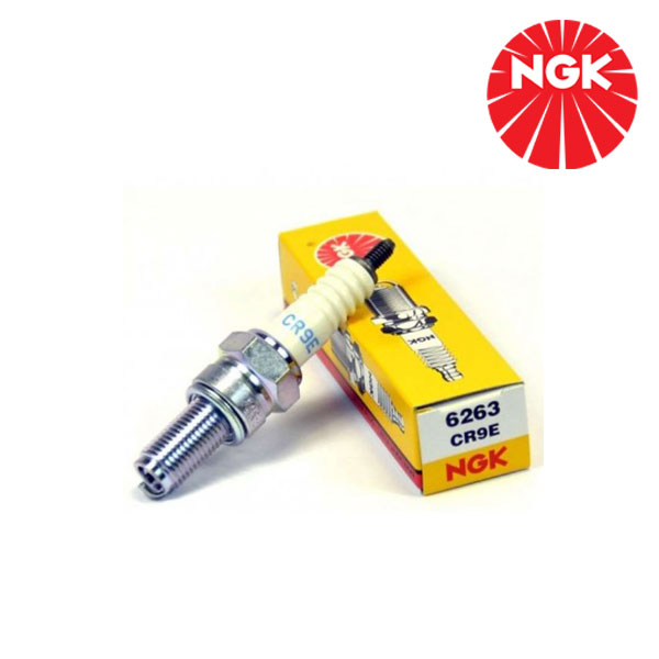 Bujia NGK CR9E