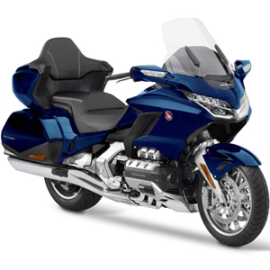 GOLDWING <br>(2019-->)