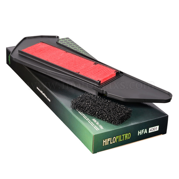 Filtro Aire Hiflofiltro HFA4301