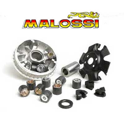 Variador Malossi Multivar