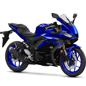 300<BR>(2017-->2019)