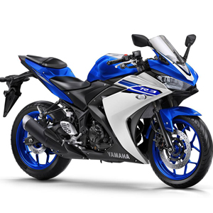 300<BR>(2015-->2016)