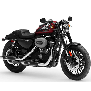 1200 ROADSTER<BR>(2019-->)