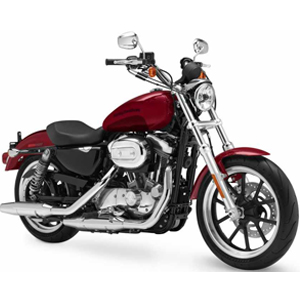 883 SUPERLOW<BR>(2019-->)