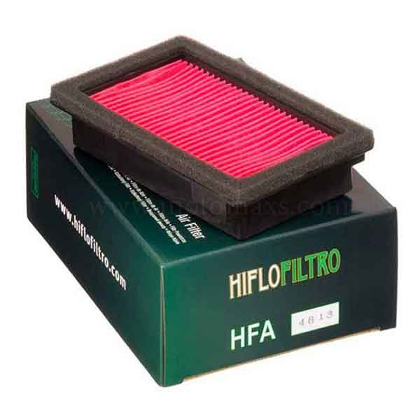 Filtro Aire Hiflofiltro HFA4613
