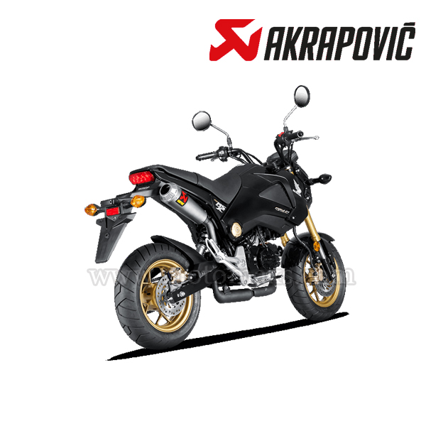 Escape Akrapovic Slip-On Line Titanium Honda MSX/GROM (2013-2015