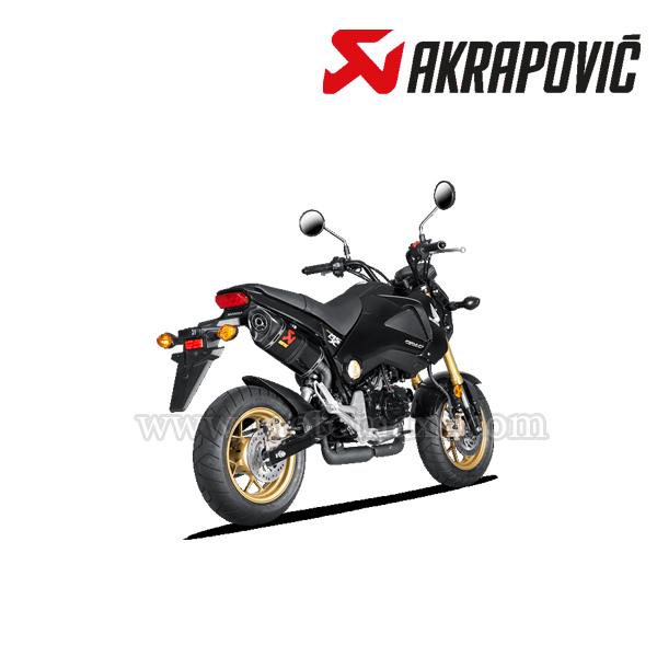 Escape Akrapovic Slip-On Line Carbono Honda MSX/GROM (2013-2015)