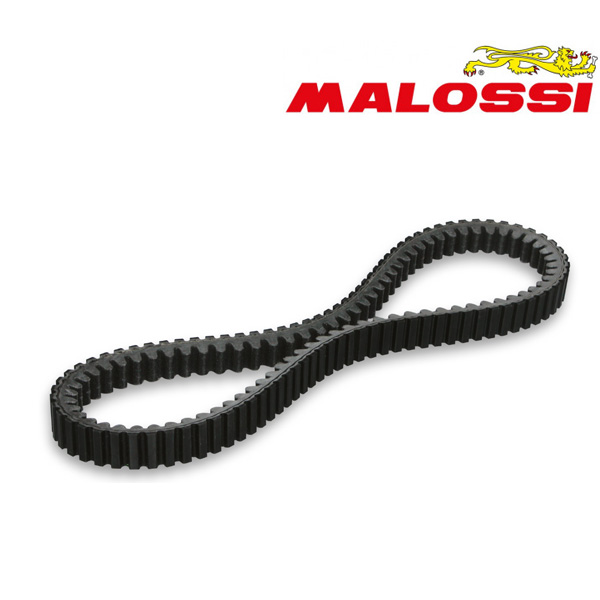 Correa Malossi X K Belt TMax 560
