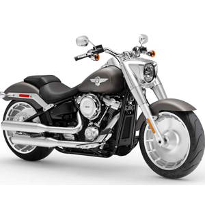 1745 FAT BOY<BR>(2019-->)