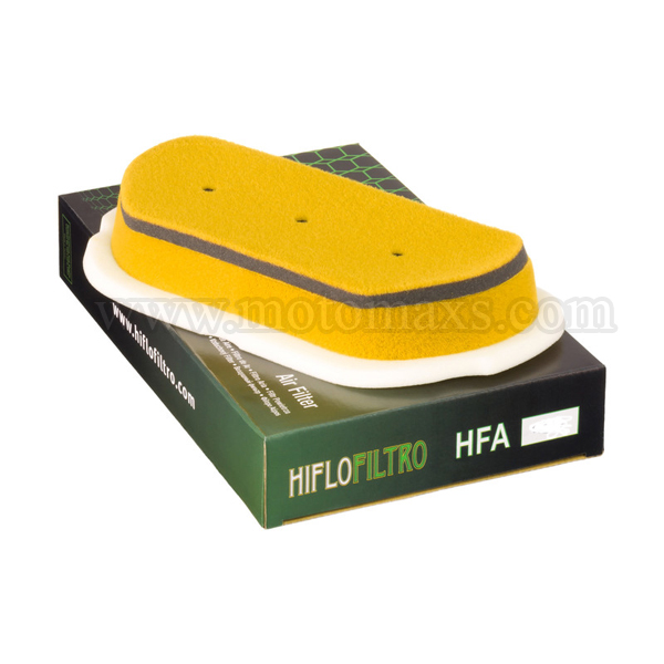 Filtro Aire Hiflofiltro HFA4610