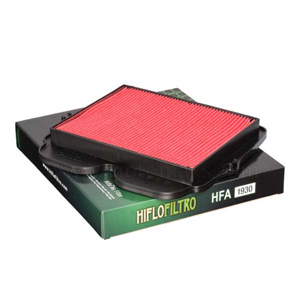 Filtro Aire Hiflofiltro HFA1930