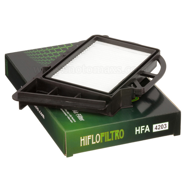Filtro Aire Hiflofiltro Cárter HFA4203