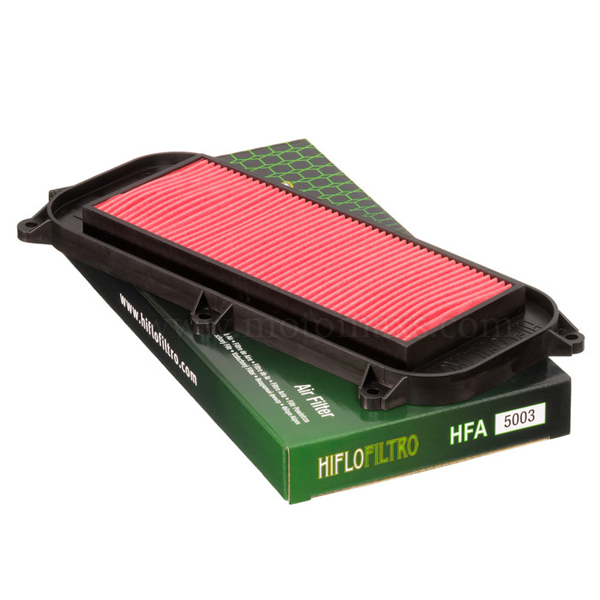 Filtro Aire Hiflofiltro HFA5003