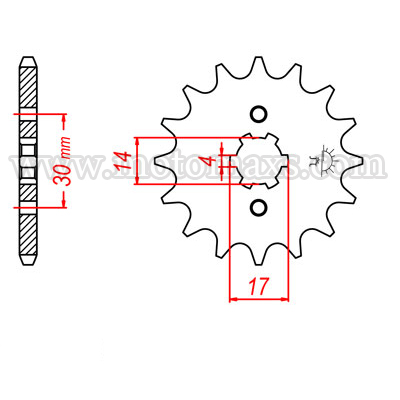 Piñon 13 Dientes  420