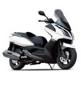 Super Dink 300<BR>(2009->2011)