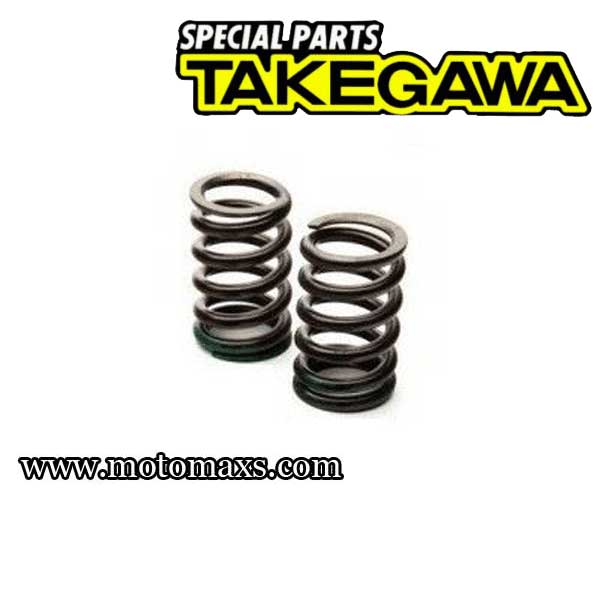 Muelle Valvulas Pitbike Takegawa Motor ''YX/Z'' 150/155/160