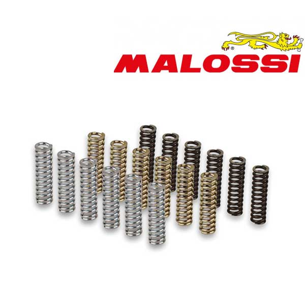 Jgo. Muelles Racing Para Embrague Original TMax 560